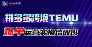 拼多多跨境TEMU爆单运营实操培训班,海外拼多多的选品、运营、爆单-学习笔记资源库
