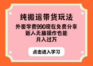 纯搬运带货玩法，外面学费990现在免费分享，新人无脑操作也能月入过万【揭秘】-学习笔记资源库