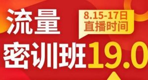 秋秋线上流量密训班19.0，打通流量关卡，线上也能实战流量破局-学习笔记资源库