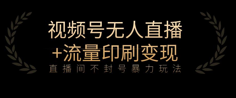 全网首发视频号不封号无人直播暴利玩法+流量印刷机变现，日入1000+【揭秘】-学习笔记资源库
