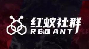 社群运营：红蚁社群【48节落地系统课程+2000人高端社群】-学习笔记资源库