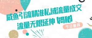 咸鱼引流精准私域流量成交流量无限延伸【揭秘】-学习笔记资源库