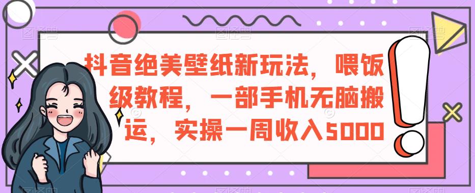 抖音绝美壁纸新玩法，喂饭级教程，一部手机无脑搬运，实操一周收入5000【揭秘】-学习笔记资源库