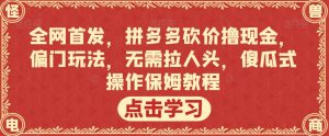 全网首发,拼多多砍价撸现金,偏门玩法,无需拉人头,傻瓜式操作保姆教程【揭秘】-学习笔记资源库
