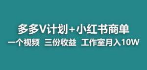 【蓝海项目】多多v计划+小红书商单一个视频三份收益工作室月入10w-学习笔记资源库