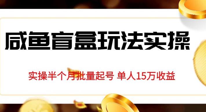 独家首发咸鱼盲盒玩法实操，半个月批量起号单人15万收益【揭秘】-学习笔记资源库