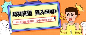 小红书育儿资料,一部手机可操作,多种变现方式,日入500+,私域变现,长期可持续项目【揭秘】-学习笔记资源库