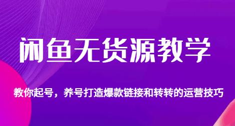 闲鱼无货源教学，教你起号，养号打造爆款链接以及转转的运营技巧-学习笔记资源库