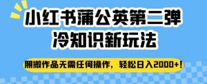 小红书蒲公英第二弹冷知识新玩法,照搬作品无需任何操作,轻松日入2000+【揭秘】-学习笔记资源库