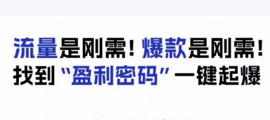 电商盈利精品课：6大盈利密码让产品更好卖，流量是刚需！爆款是刚需！找到”盈利密码”一键起爆-学习笔记资源库