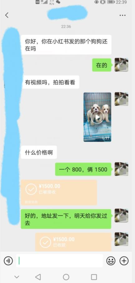外边收费3980的同城萌宠项目，用最冷门的玩法冲击最热门的市场【揭秘】-学习笔记资源库