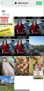 外面收费198的最新视频号连怼技术，条条原创，条条爆单【揭秘】-学习笔记资源库