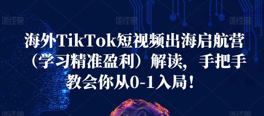 海外TikTok短视频出海启航营（学习精准盈利）解读，手把手教会你从0-1入局！-学习笔记资源库