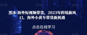 黑冰·海外短视频带货，2023年跨境新风口，海外小黄车带货新机遇-学习笔记资源库