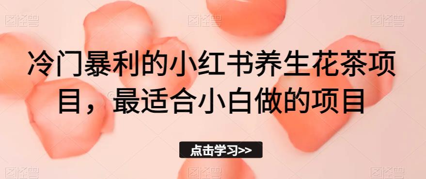 冷门暴利的小红书养生花茶项目，最适合小白做的项目【揭秘】-学习笔记资源库