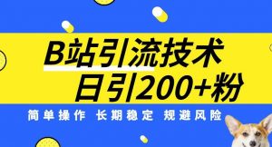 B站引流技术：每天引流200精准粉，简单操作，长期稳定，规避风险-学习笔记资源库