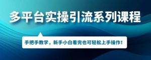 多平台引流实操系列课程,新手小白看完也可轻松上手进行引流操作-学习笔记资源库