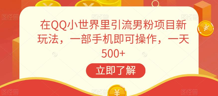 在QQ小世界里引流男粉项目新玩法，一部手机即可操作，一天500+【揭秘】-学习笔记资源库