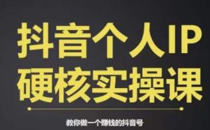 个人IP创富系统实战课，商业定位，流量打造，短视频变现，教你做个赚钱的抖音号-学习笔记资源库