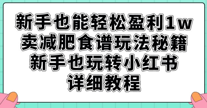 新手也能轻松盈利1w，卖减肥食谱玩法秘籍，新手也玩转小红书详细教程【揭秘】-学习笔记资源库