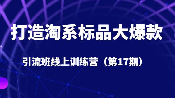 打造淘系标品大爆款引流班线上训练营（第17期）5天直播授课-学习笔记资源库