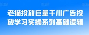 老猫投放巨量千川广告投放学习实操系列基础逻辑-学习笔记资源库