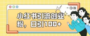 小红书引流创业粉,日引100+【揭秘】-学习笔记资源库