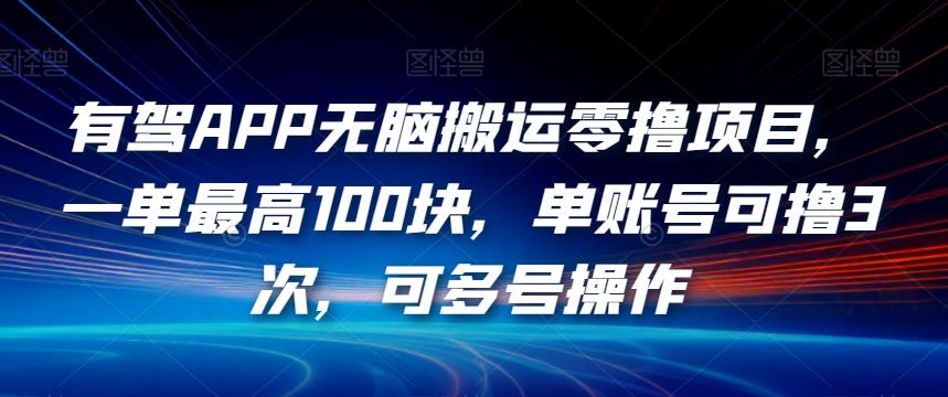 有驾APP无脑搬运零撸项目，一单最高100块，单账号可撸3次，可多号操作【揭秘】-学习笔记资源库