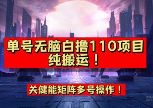 9月全网首发，单号直接白撸110！可多号操作，无脑搬运复制粘贴【揭秘】-学习笔记资源库