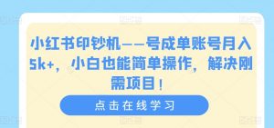 小红书印钞机——号成单账号月入5k+，小白也能简单操作，解决刚需项目【揭秘】-学习笔记资源库