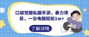 口袋觉醒私服手游,暴力项目,一台电脑轻松1w+【揭秘】-学习笔记资源库