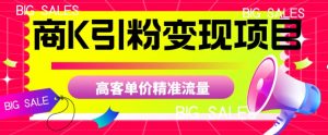 商K引粉变现项目，高客单价精准流量【揭秘】-学习笔记资源库