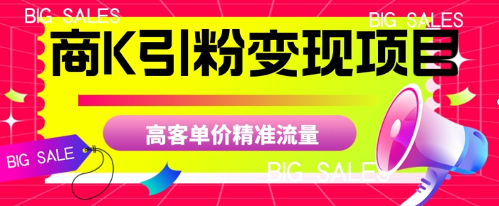商K引粉变现项目，高客单价精准流量【揭秘】-学习笔记资源库