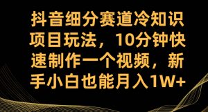 抖音细分赛道冷知识项目玩法，10分钟快速制作一个视频，新手小白也能月入1W+【揭秘】-学习笔记资源库
