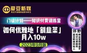 爱豆新媒：如何优雅地「割韭菜」月入10w的秘诀（2023年9月版）-学习笔记资源库
