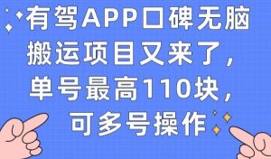 有驾APP口碑无脑搬运项目又来了，单号最高110块，可多号操作-学习笔记资源库