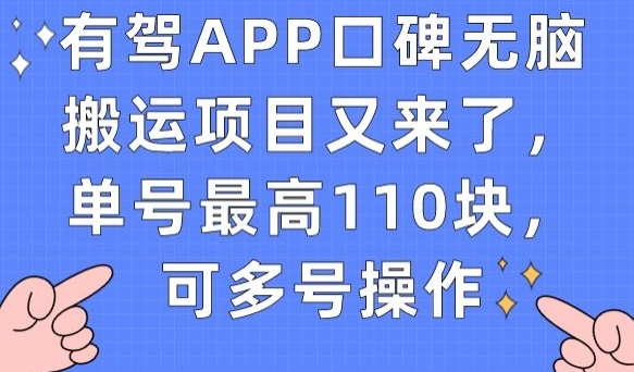 有驾APP口碑无脑搬运项目又来了，单号最高110块，可多号操作-学习笔记资源库