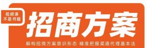王昕招商方案,解构招商方案意识形态,精准把握渠道代理基本法-学习笔记资源库