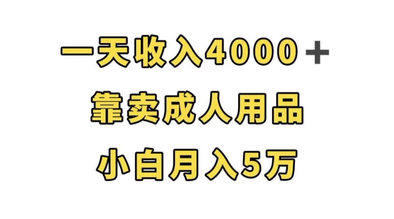 一天收入4000+，靠卖成人用品，小白轻松月入5万【揭秘】-学习笔记资源库