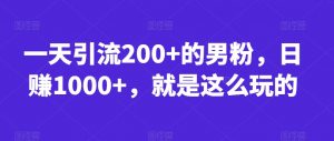 一天引流200+的男粉，日赚1000+，就是这么玩的【揭秘】-学习笔记资源库