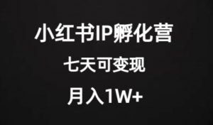 价值2000+的小红书IP孵化营项目,超级大蓝海,七天即可开始变现,稳定月入1W+-学习笔记资源库