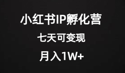 价值2000+的小红书IP孵化营项目，超级大蓝海，七天即可开始变现，稳定月入1W+-学习笔记资源库