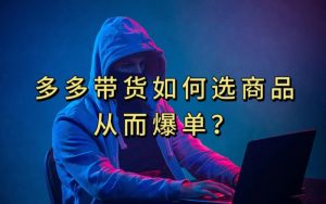 多多视频带货选什么商品链接才能爆单，10分钟教会你，爆单不是浮云【揭秘】-学习笔记资源库