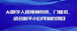 AI数字人短视频带货,门槛低,适合新手小白可做的项目-学习笔记资源库
