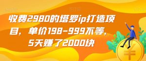收费2980的塔罗ip打造项目，单价198-999不等，5天赚了2000块【揭秘】-学习笔记资源库