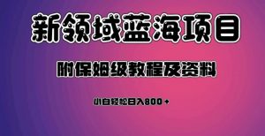 虚拟资源蓝海领域新项目，轻松日入800＋，附保姆级教程及资料-学习笔记资源库