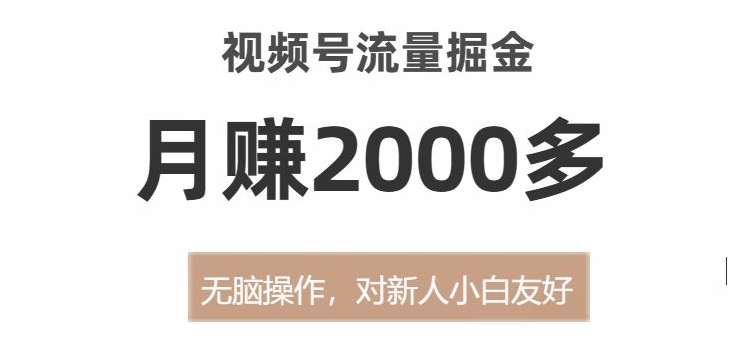 视频号流量掘金，无脑操作，对新人小白友好，月赚2000多【揭秘】-学习笔记资源库