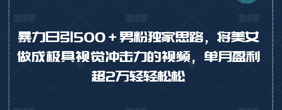 暴力日引500＋男粉独家思路，将美女做成极具视觉冲击力的视频，单月盈利超2万轻轻松松-学习笔记资源库