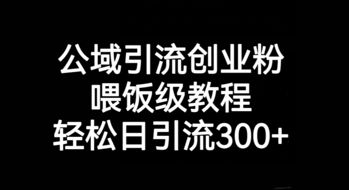 公域引流创业粉，喂饭级教程，轻松日引流300+【揭秘】-学习笔记资源库