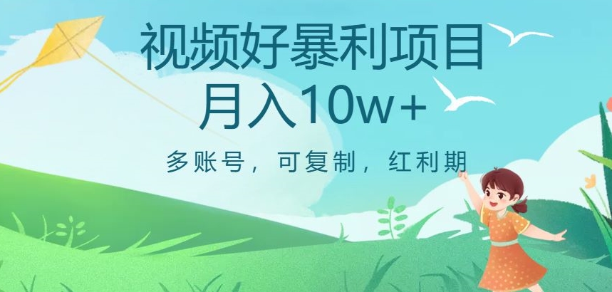 视频号暴利项目，多账号，可复制，红利期，月入10w+【揭秘】-学习笔记资源库